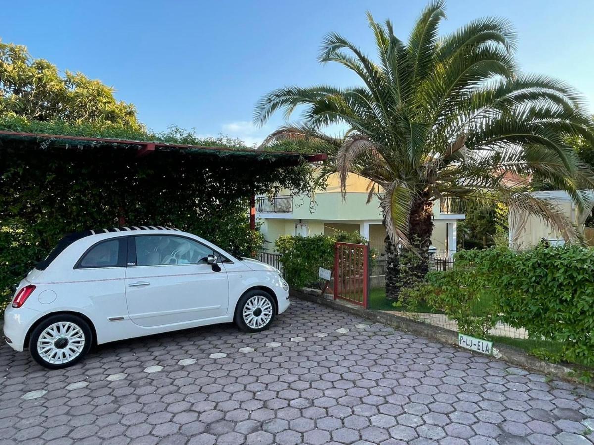 Apartman Hola Novigrad  ภายนอก รูปภาพ