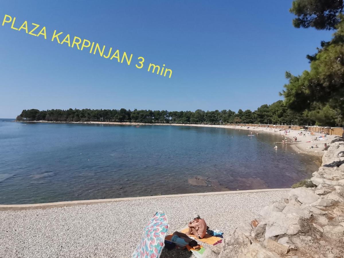 Apartman Hola Novigrad  ภายนอก รูปภาพ