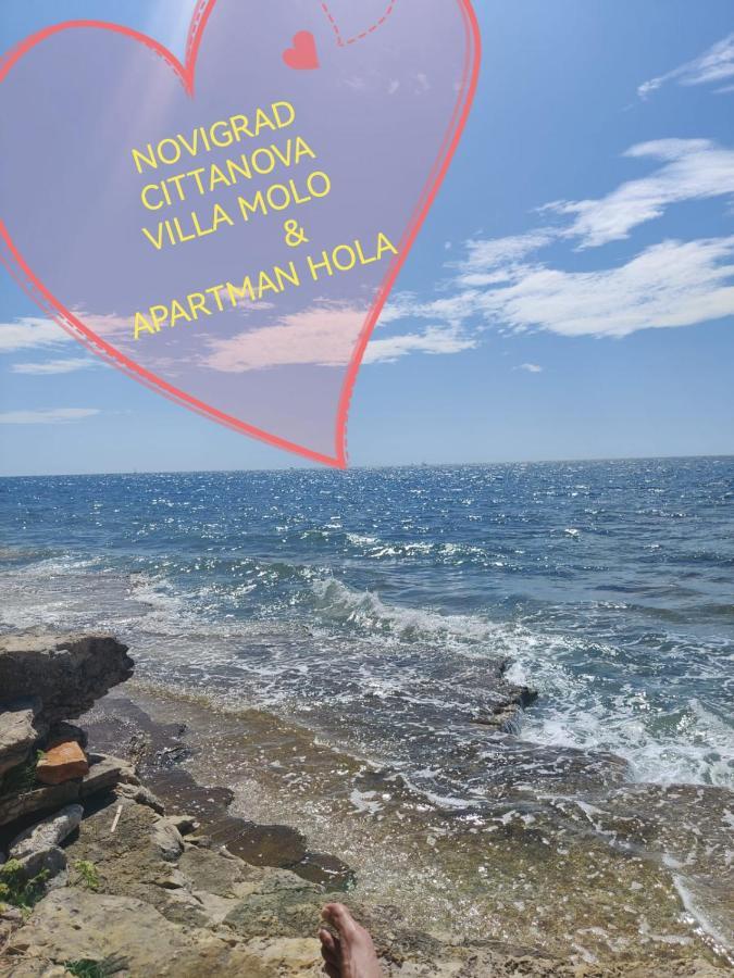 Apartman Hola Novigrad  ภายนอก รูปภาพ